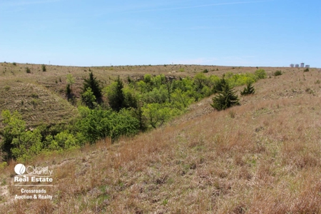 1,024± Acres of Hunting Land & Minerals in Kansas For Sale - image 18