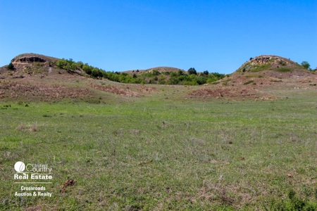 1,024± Acres of Hunting Land & Minerals in Kansas For Sale - image 3