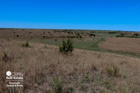 1,024± Acres of Hunting Land & Minerals in Kansas For Sale - image 11