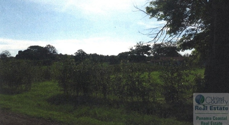 Lot For Sale Pedasi Panama - image 6
