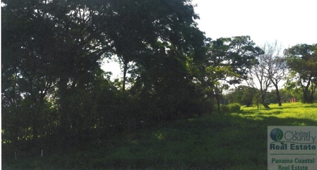 Lot For Sale Pedasi Panama - image 5