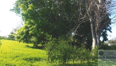 Lot For Sale Pedasi Panama - image 3