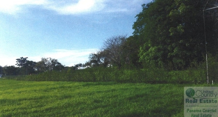Lot For Sale Pedasi Panama - image 2