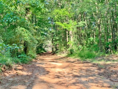 Acreage Adjacent to Percy Quin State Park, Pike County, MS - image 2