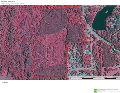 Acreage Adjacent to Percy Quin State Park, Pike County, MS - image 23