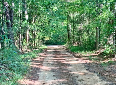 Acreage Adjacent to Percy Quin State Park, Pike County, MS - image 1