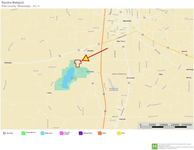Acreage Adjacent to Percy Quin State Park, Pike County, MS - image 18
