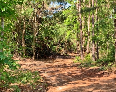 Acreage Adjacent to Percy Quin State Park, Pike County, MS - image 10