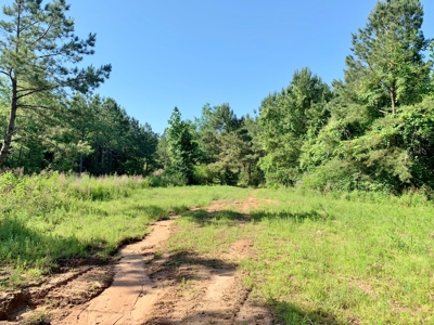 Acreage Adjacent to Percy Quin State Park, Pike County, MS - image 12