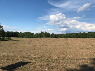 Over 40 Acres For Sale in Albemarle NC - image 2