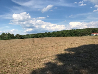 Over 40 Acres For Sale in Albemarle NC - image 3