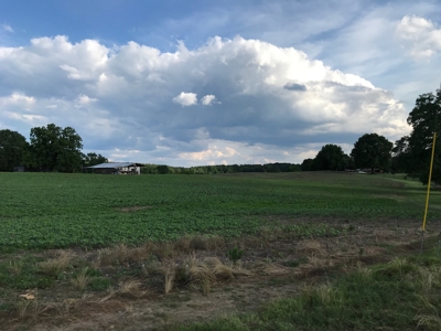 Over 40 Acres For Sale in Albemarle NC - image 4