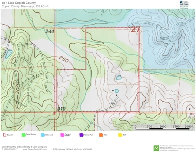 Camp Pond and Acreage by Copiah County WMA, Pattison, MS - image 45