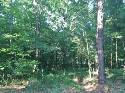 Camp Pond and Acreage by Copiah County WMA, Pattison, MS - image 8