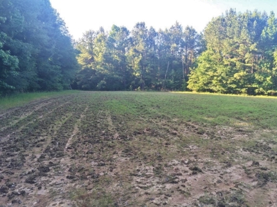 Camp Pond and Acreage by Copiah County WMA, Pattison, MS - image 2