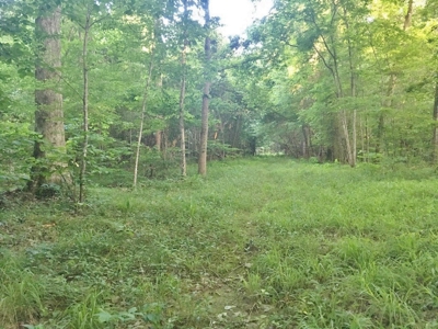 Camp Pond and Acreage by Copiah County WMA, Pattison, MS - image 29