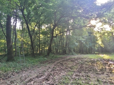 Camp Pond and Acreage by Copiah County WMA, Pattison, MS - image 23