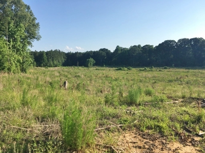 Camp Pond and Acreage by Copiah County WMA, Pattison, MS - image 10