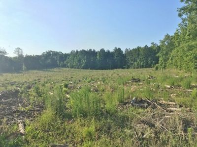 Camp Pond and Acreage by Copiah County WMA, Pattison, MS - image 11