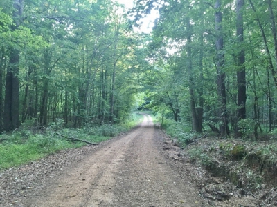 Camp Pond and Acreage by Copiah County WMA, Pattison, MS - image 35