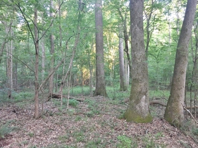 Camp Pond and Acreage by Copiah County WMA, Pattison, MS - image 38