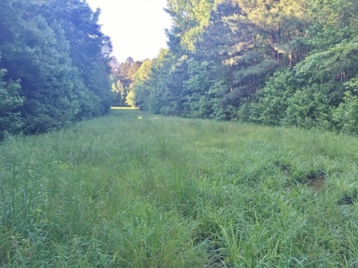 Camp Pond and Acreage by Copiah County WMA, Pattison, MS - image 19