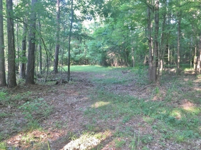 Camp Pond and Acreage by Copiah County WMA, Pattison, MS - image 4