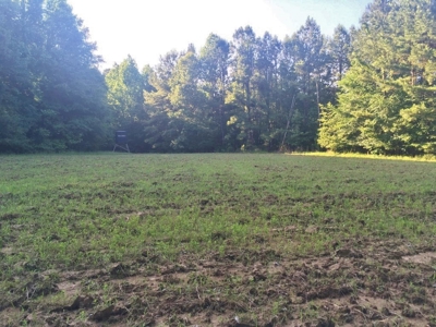 Camp Pond and Acreage by Copiah County WMA, Pattison, MS - image 3