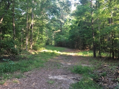 Camp Pond and Acreage by Copiah County WMA, Pattison, MS - image 7