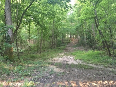 Camp Pond and Acreage by Copiah County WMA, Pattison, MS - image 31