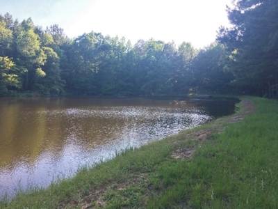 Camp Pond and Acreage by Copiah County WMA, Pattison, MS - image 5