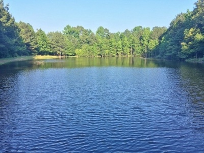 Camp Pond and Acreage by Copiah County WMA, Pattison, MS - image 6