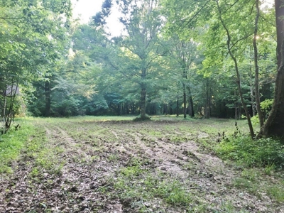 Camp Pond and Acreage by Copiah County WMA, Pattison, MS - image 22
