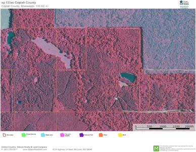 Camp Pond and Acreage by Copiah County WMA, Pattison, MS - image 46