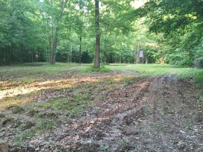 Camp Pond and Acreage by Copiah County WMA, Pattison, MS - image 24