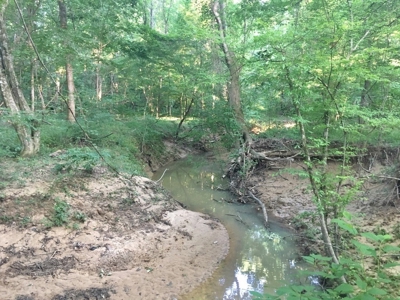 Camp Pond and Acreage by Copiah County WMA, Pattison, MS - image 28