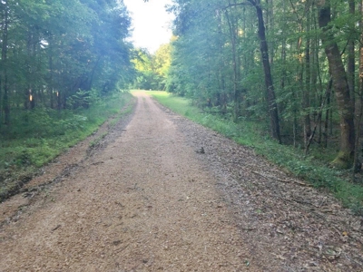 Camp Pond and Acreage by Copiah County WMA, Pattison, MS - image 39