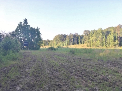 Camp Pond and Acreage by Copiah County WMA, Pattison, MS - image 36