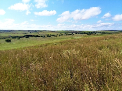 Kansas Farm Ranch For Sale - image 41