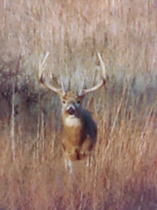 Kansas Farm Ranch For Sale - image 34