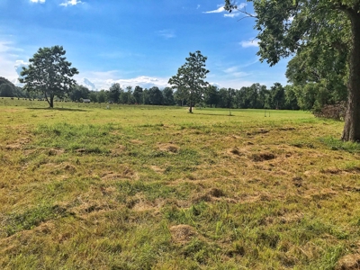 Eleven Point River Lots For Sale - image 2