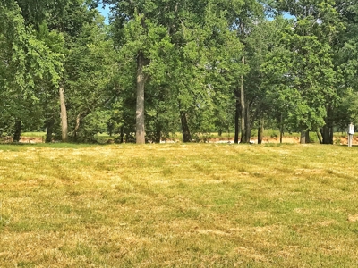 Eleven Point River Lots For Sale - image 3