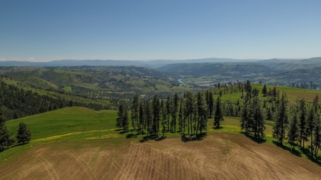 Farm & Ranch w. Country Home For Sale in North Central Idaho - image 14