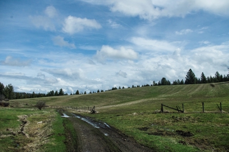 Farm & Ranch w. Country Home For Sale in North Central Idaho - image 50