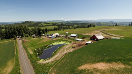 Farm & Ranch w. Country Home For Sale in North Central Idaho - image 2