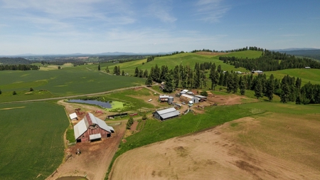 Farm & Ranch w. Country Home For Sale in North Central Idaho - image 3