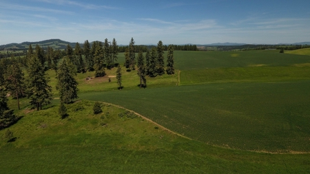 Farm & Ranch w. Country Home For Sale in North Central Idaho - image 21
