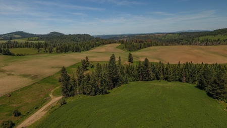 Farm & Ranch w. Country Home For Sale in North Central Idaho - image 30