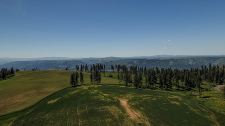 Farm & Ranch w. Country Home For Sale in North Central Idaho - image 9