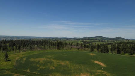 Farm & Ranch w. Country Home For Sale in North Central Idaho - image 10